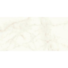 Плитка Marvel Shine Calacatta Delicato 60x120 Matt