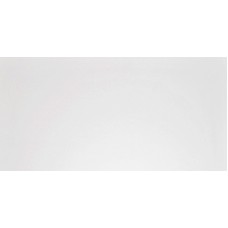 Плитка G-100/MR/300x600x10 (1,08 кв.м.)