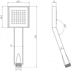 Душевая лейка Aquanet Square AF210-81S-S