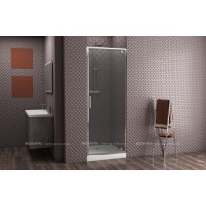 Душевая дверь 900х2000 мм Bravat Alfa BD090.4110A